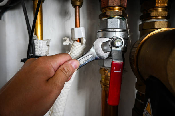 Best Toilet Repair Services  in Milton Freewater, OR